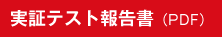 実証テスト報告書（PDF）